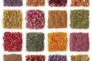 Bioresonanz Bioresonanztherapie.