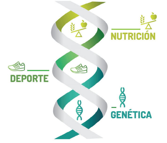 Nutricion-Deporte-Genetica