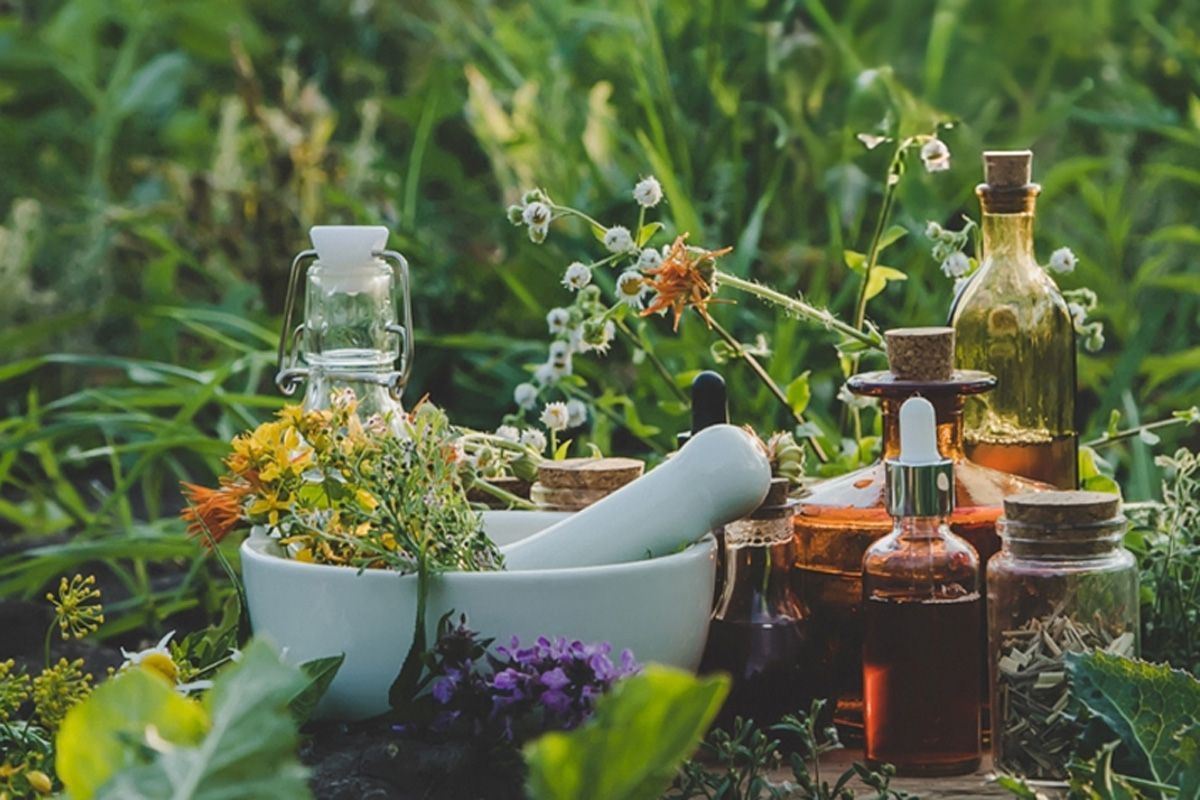 Bild mit Pflanzen und Heilkräutern in Mörserschale mit Glasfläschchen