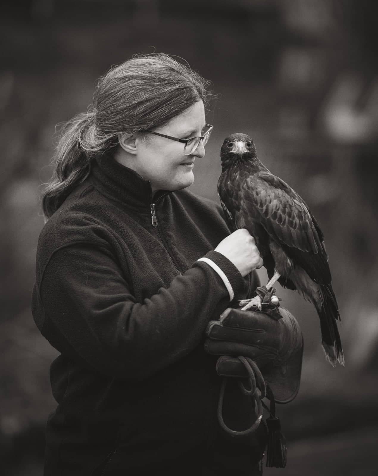 Autorin D. K. Berg mit dem Wüstenbussard Notos. Eine Frau betrachtet einen Greifvogel, der auf ihrer linken Faust auf einem Lederhandschuh sitzt.