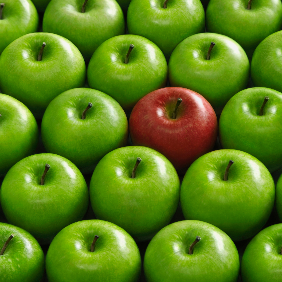 Ein roter Apfel zwischen grünen Äpfeln – Symbol für Konsistenz und Qualität im Übersetzungsprozess.