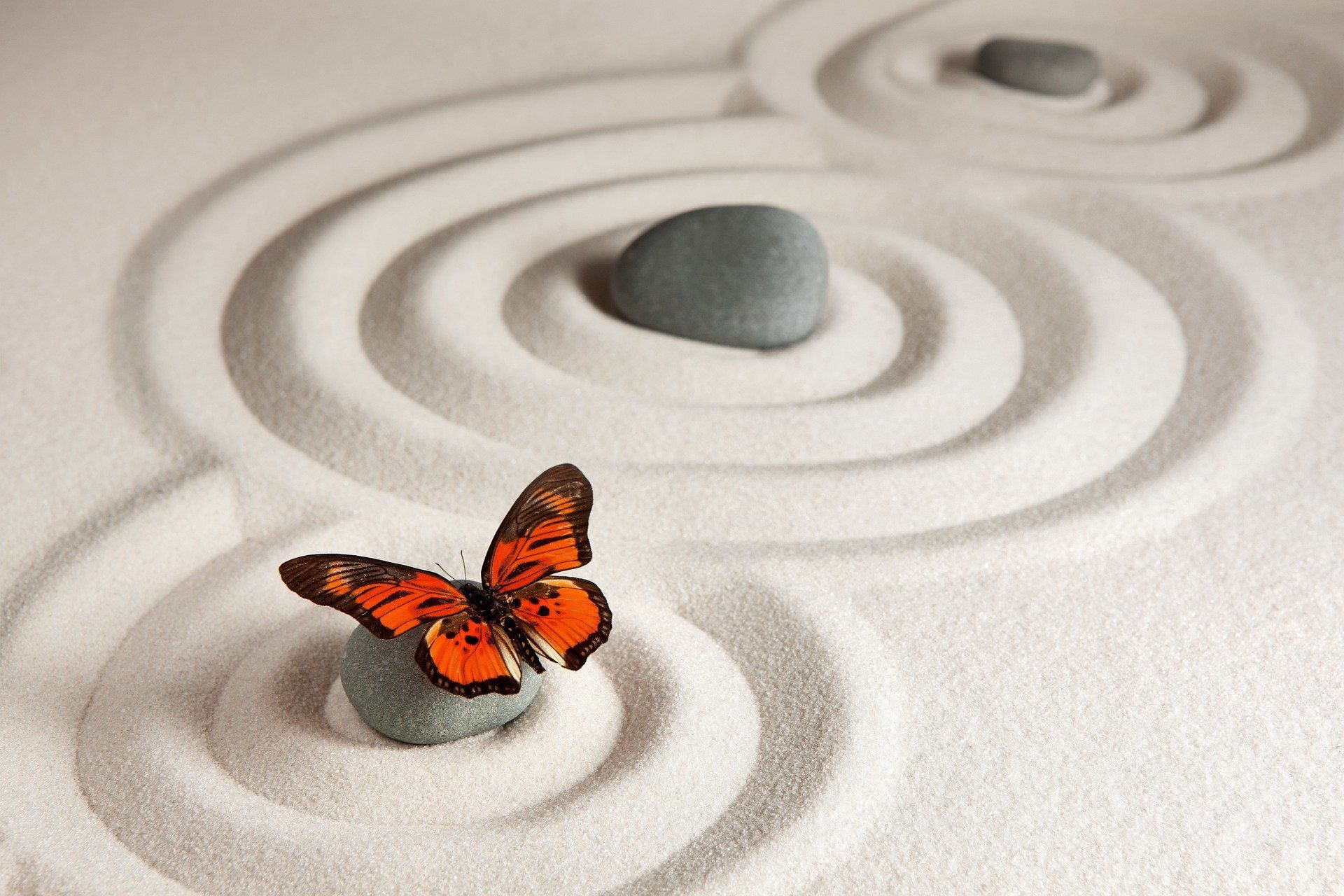 biomagnetismo-imanaes-parbiomagnético-equilibrio-natural