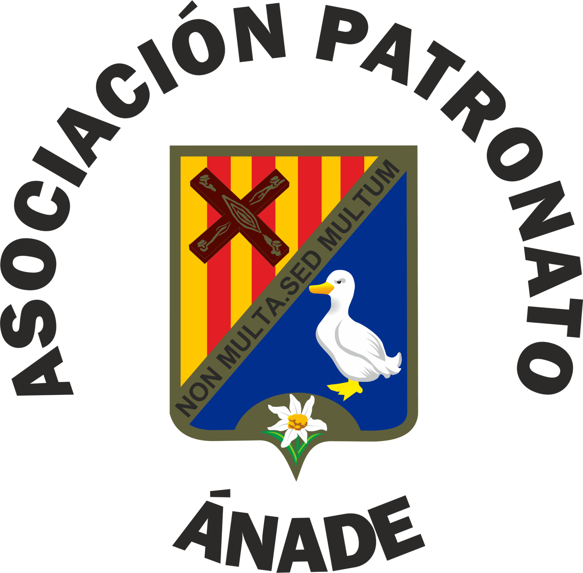 Asociacion Patronato Anade - Logo