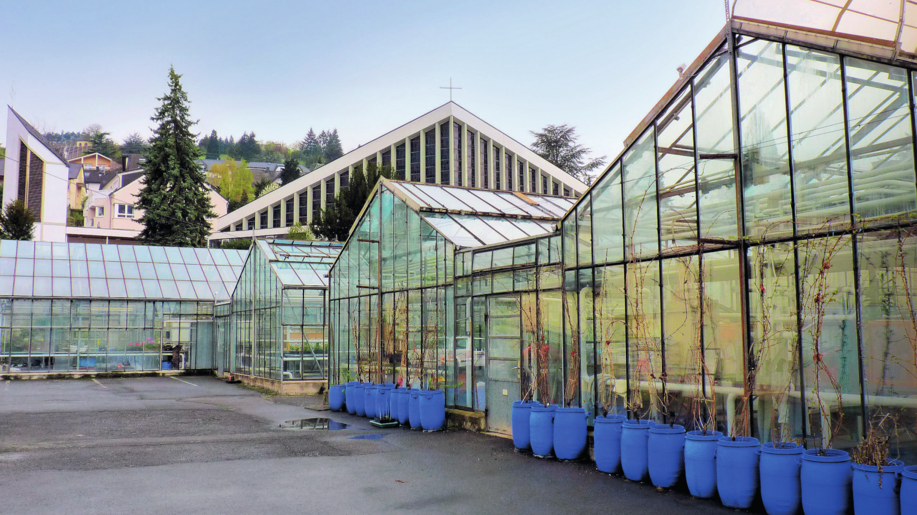 Grundstückverkauf Region Bernkastel-Wittlich