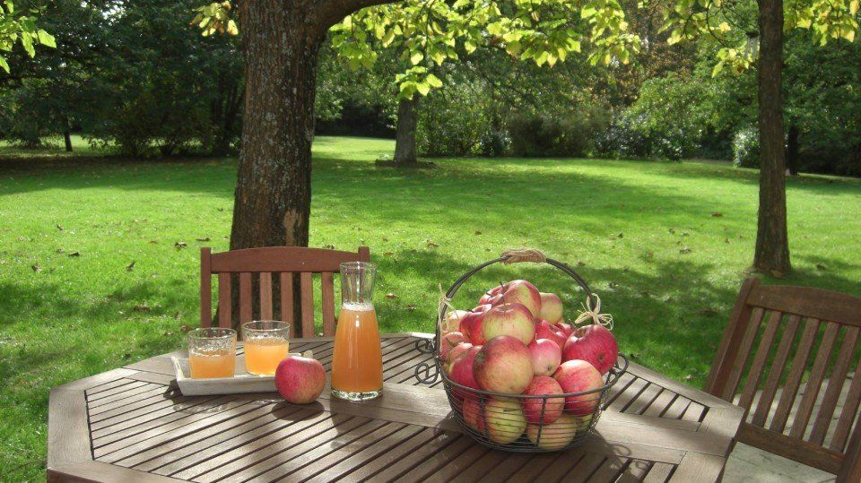 Déjeuner dans un jardin 1