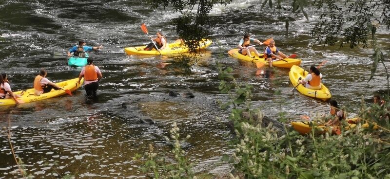 Salidas en grupo en kayak en Río Ulla A Coruña