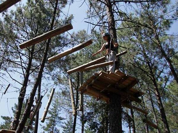 Recorrido en los árboles para despedidas en Braga