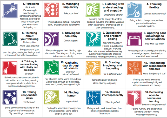 Image of the 16 Habits of Mind