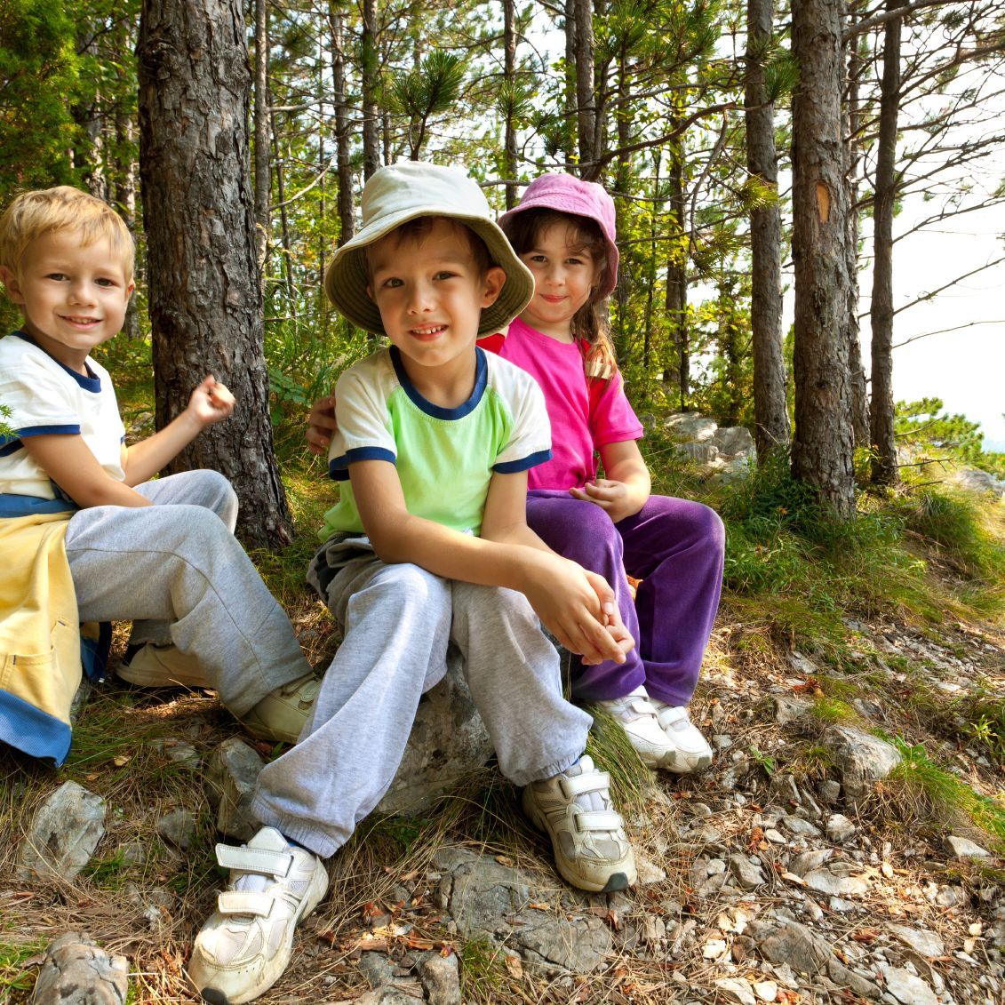 Family day walking in the woods