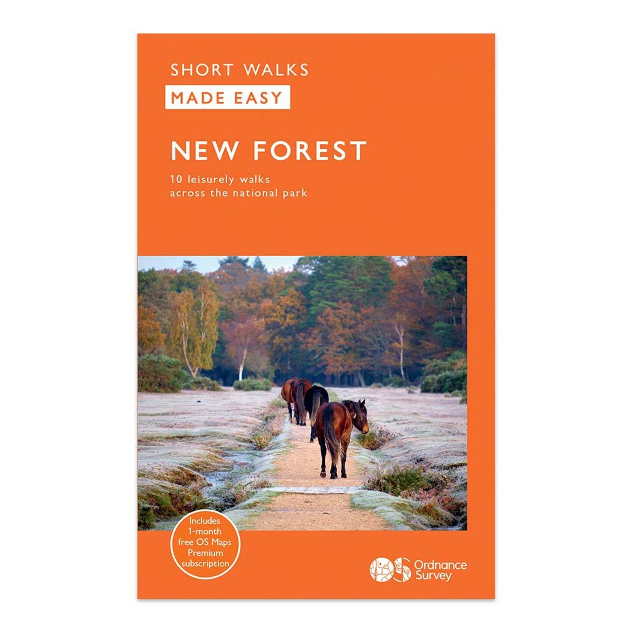 Only £6.99 Buy yours Today Brown Horses on Bridlepath