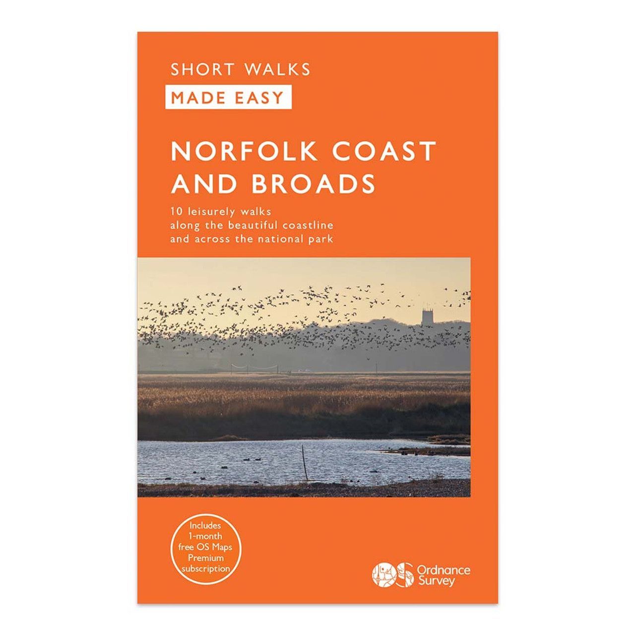 Only £8.99 Order Yours Today Flock of birds over brown grass and blue water