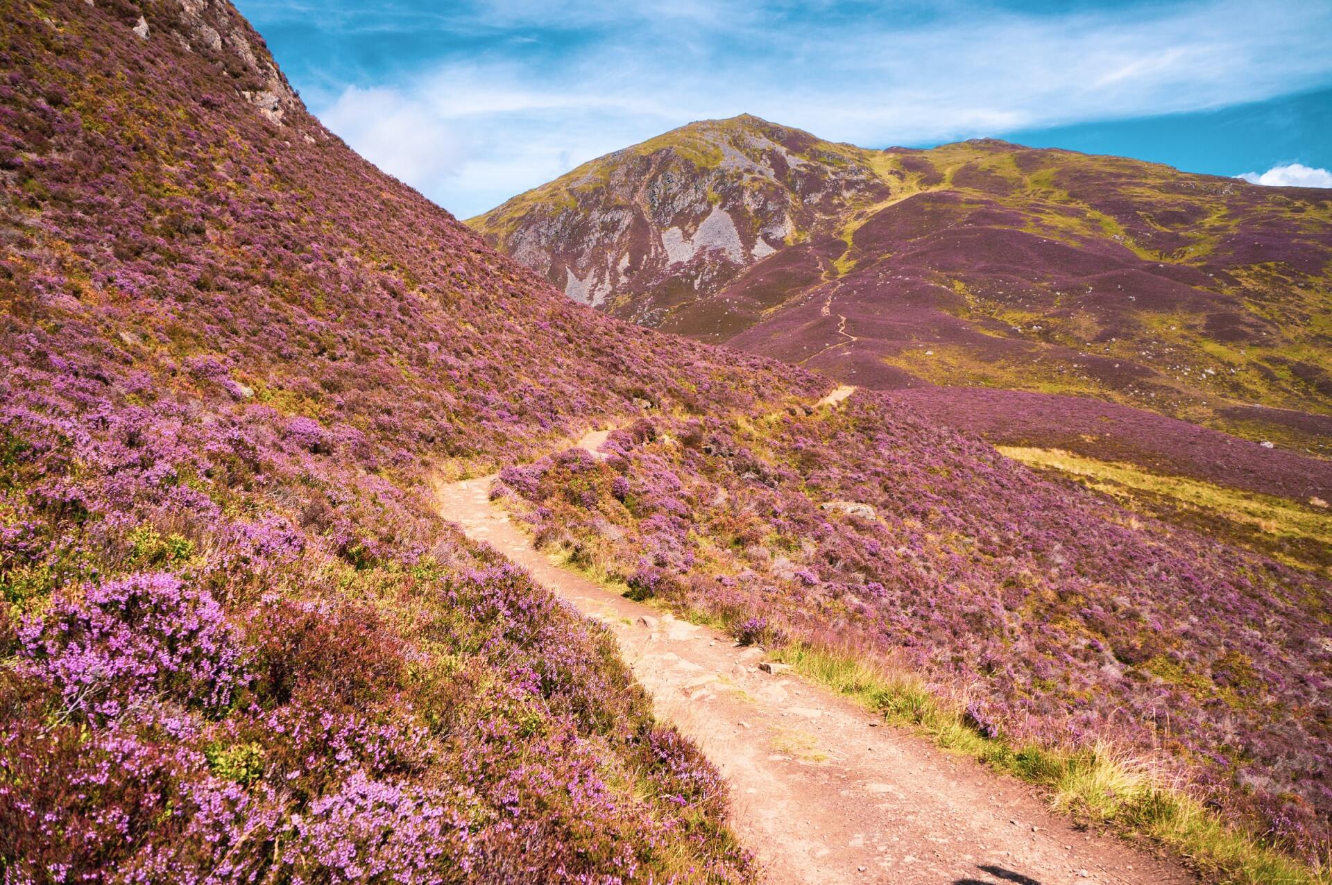 Rugged landscapes in Cairngorms