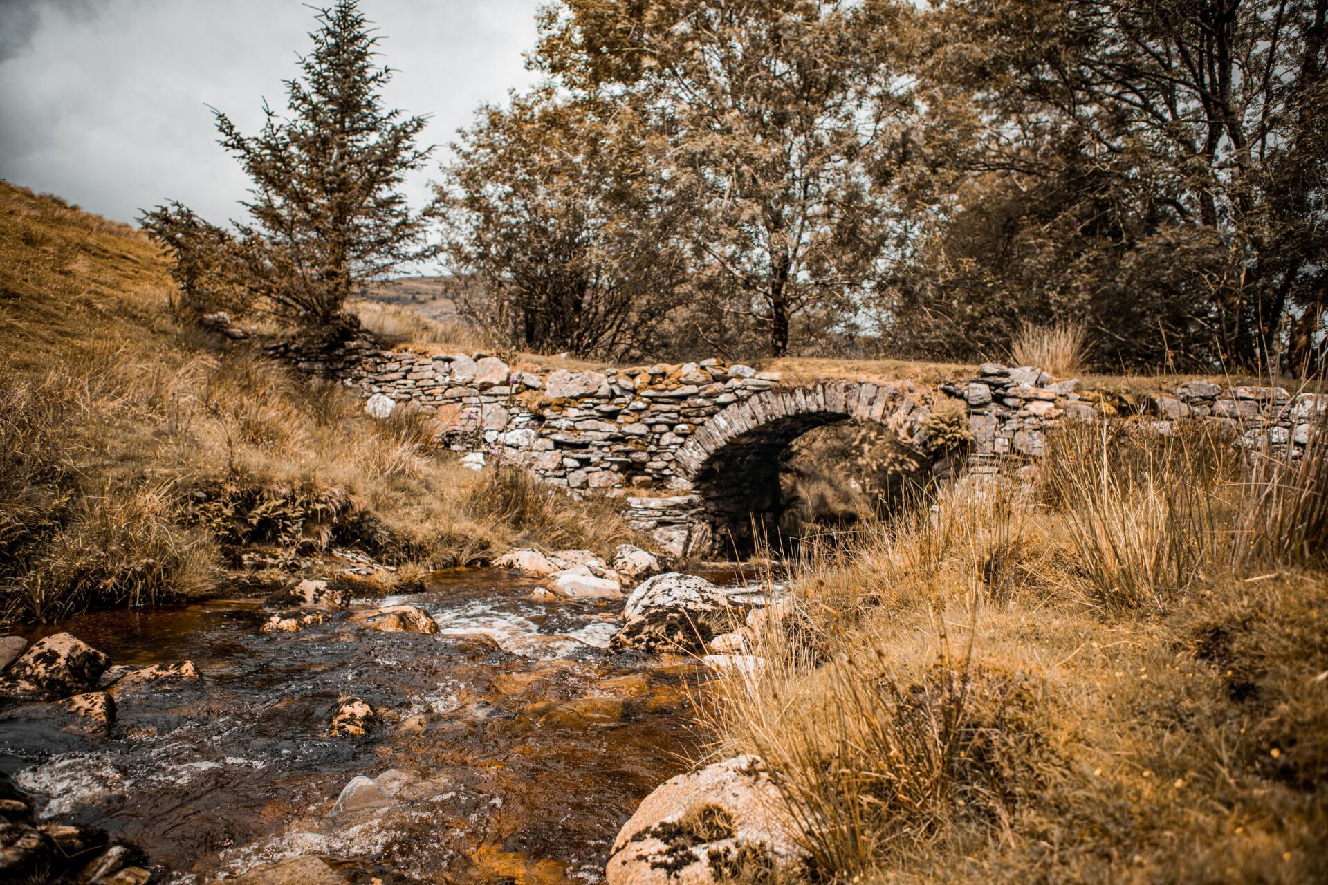 Bridge over stream in Snowdonia