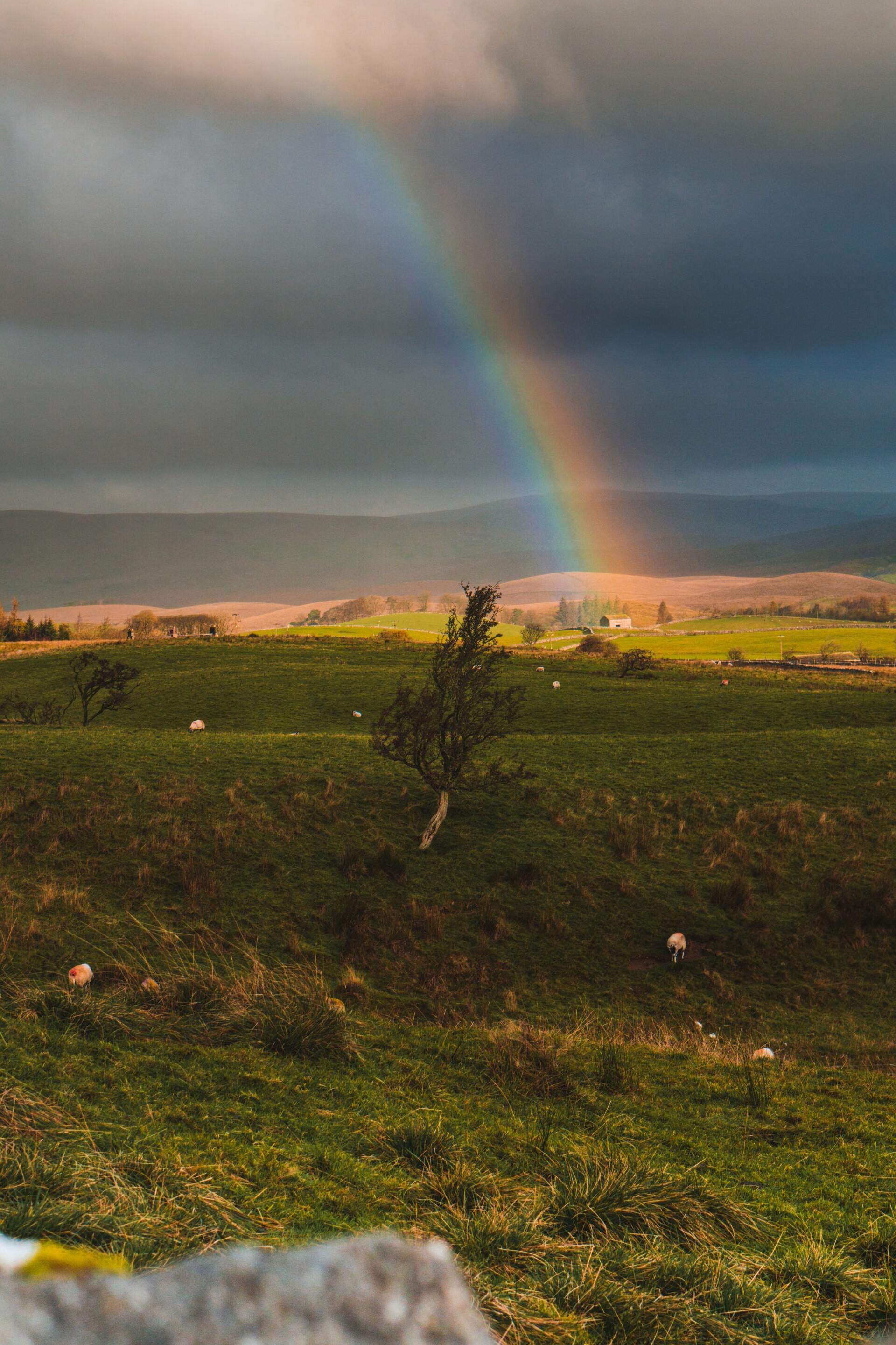 Rainbow in Yorkshire Dales