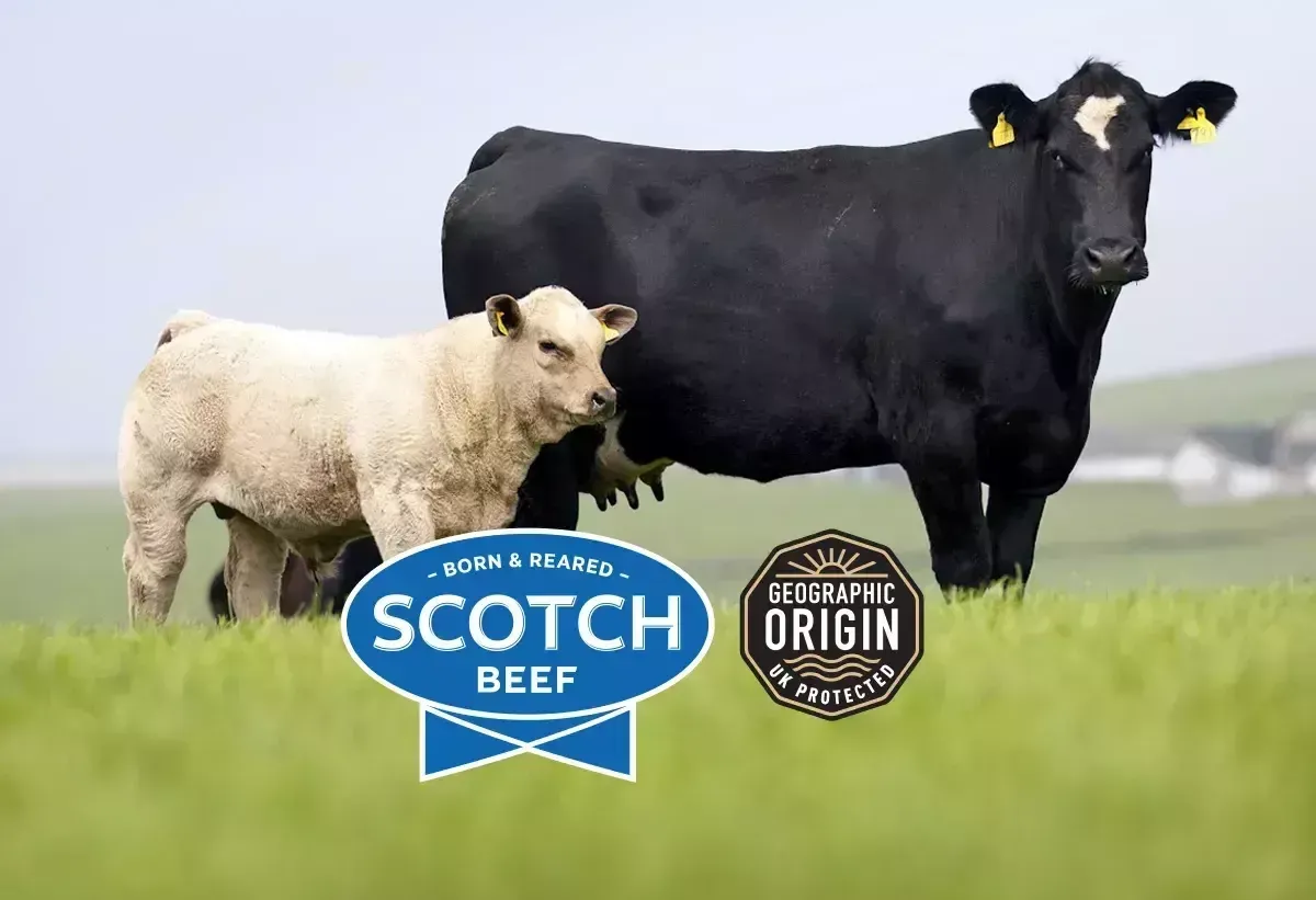 Click the image to learn more about QMS