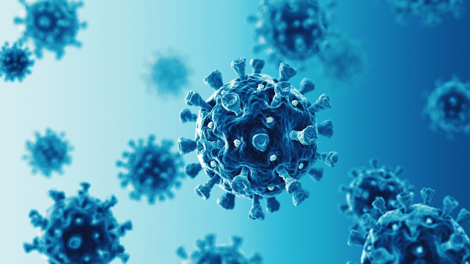 Corona virus,public health