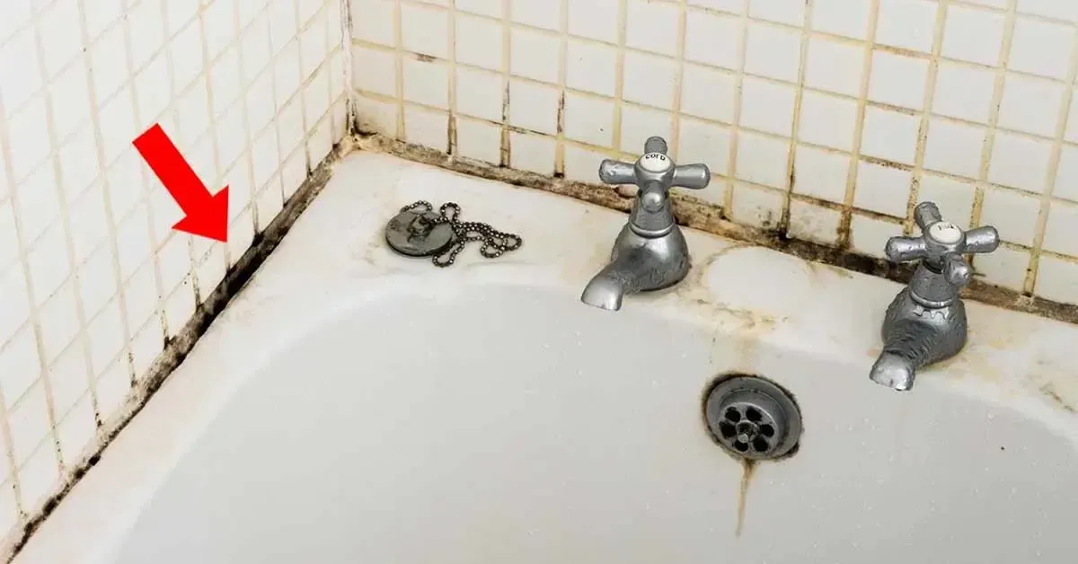 Comment Enlever la Moisissure dans la Salle de Bain : Astuces et Prévention