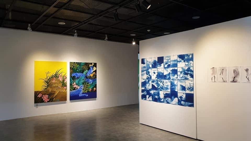 Cyanotypie, Kirstin Rabe, Art Center Gangneung