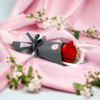 Les Senterus de Cindy