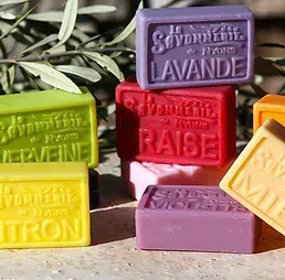 Les Senterus de Cindy