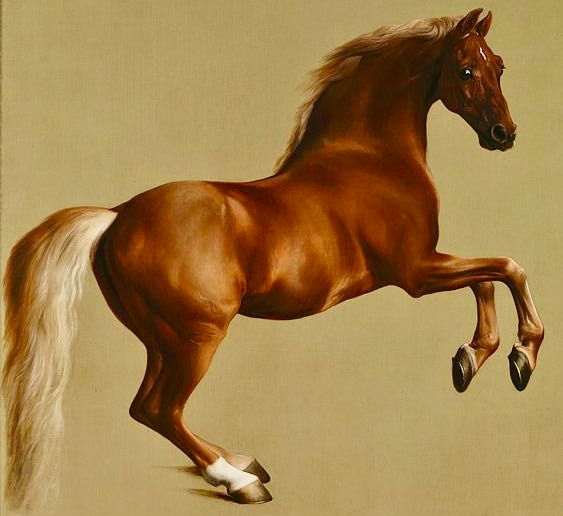 Klick Tipp führt zu Shop Von George Stubbs - http://www.nationalgallery.org.uk/paintings/george-stubbs-whistlejacket, Gemeinfrei, https://commons.wikimedia.org/w/index.php?curid=861287