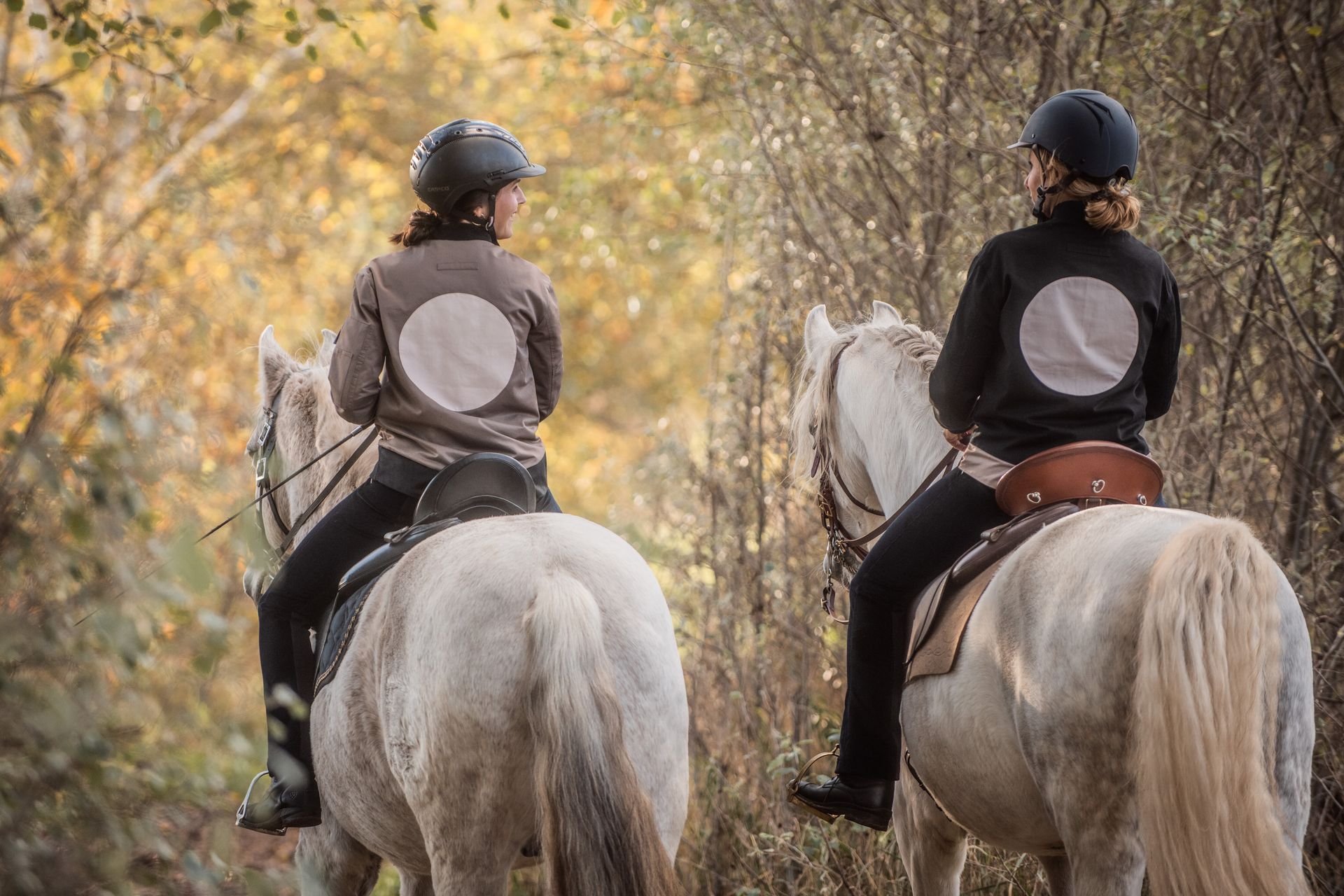 Klick Tipp führt zum Shop Frau mit ihrem Pferdbei der Bodenarbeit, ein Teil der akademischen Reitkunst
