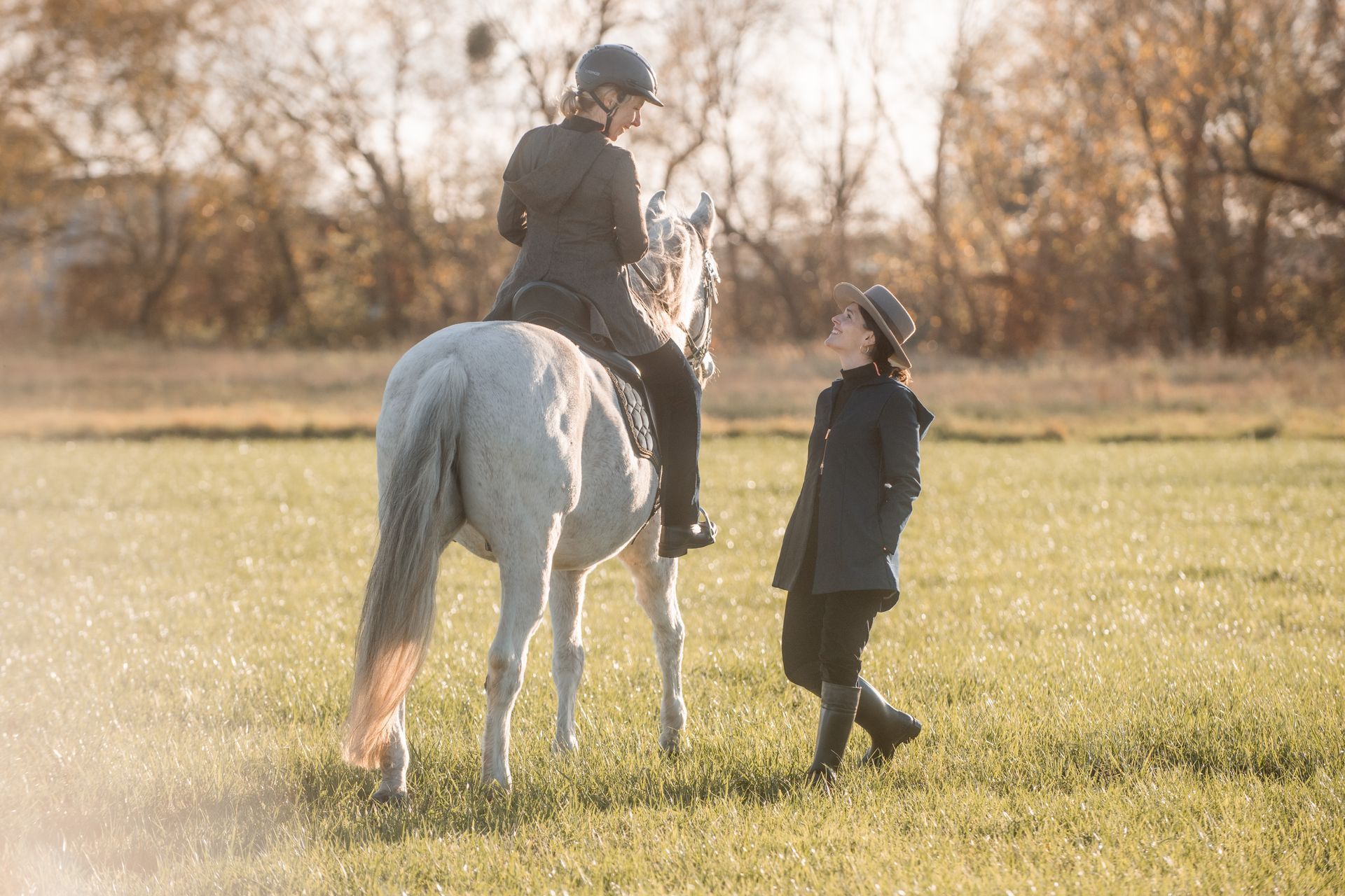 Klick Tipp führt zum Shop Reiterin und Reitehrerin