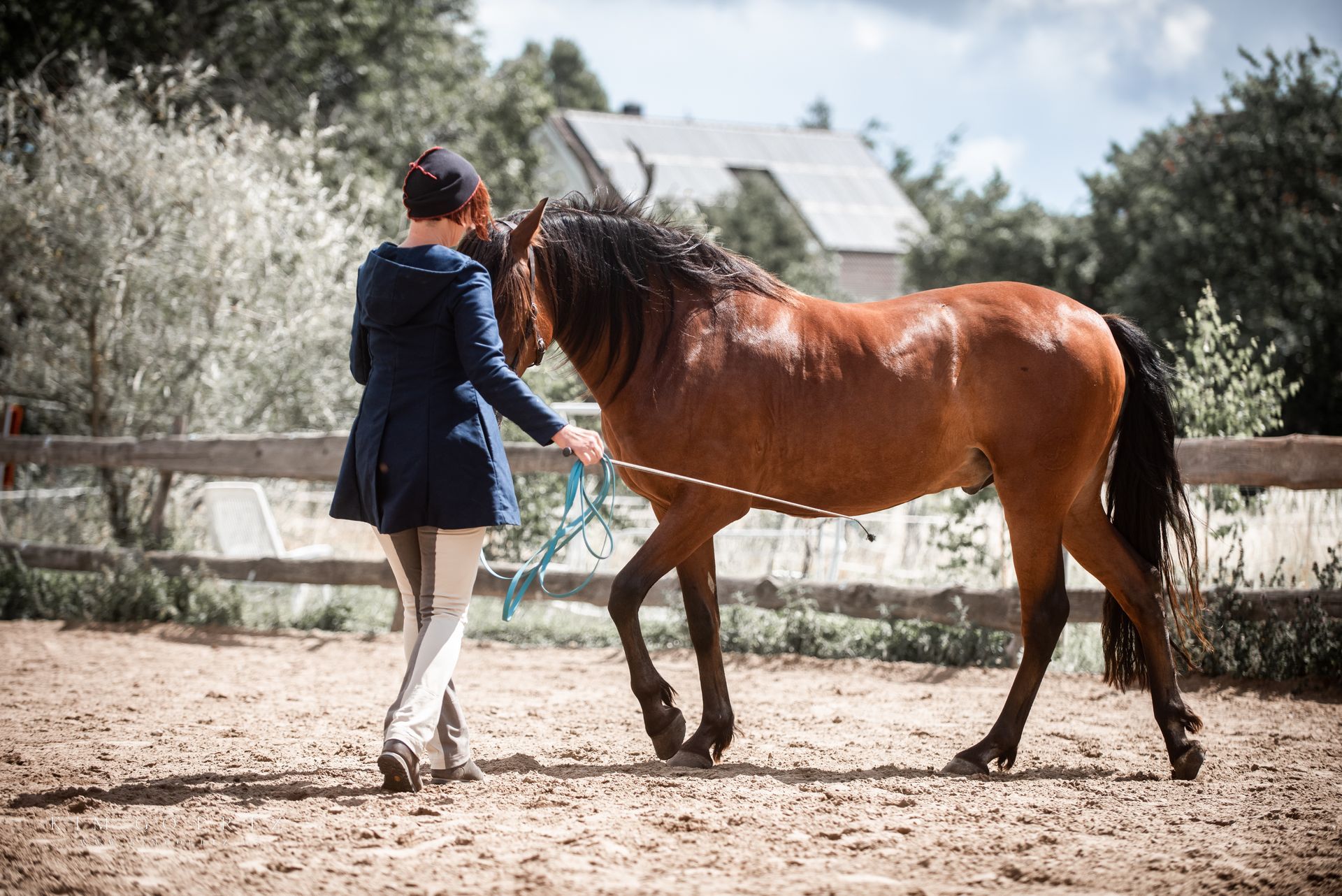 Klick Tipp führt zum Shop Frau mit ihrem Pferd bei der Bodenarbeit, ein Teil der akademischen Reitkunst