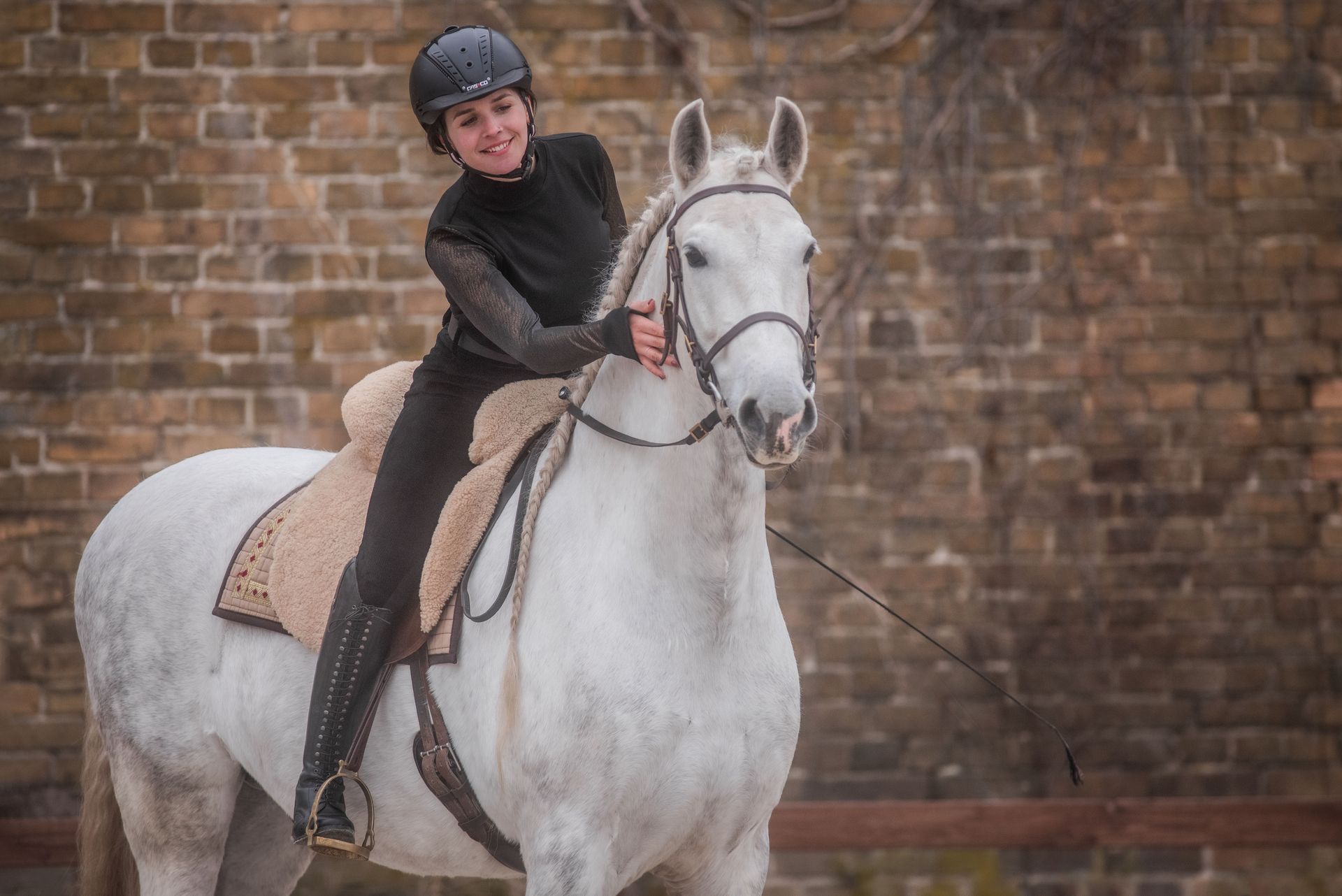Klick Tipp führt zum Shop Reiterin, die ihr Pferd lobt