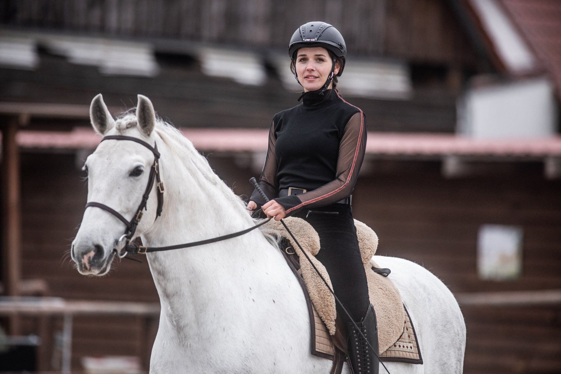 Klick Tipp führt zum Shop Reiterin, die ihr Pferd lobt