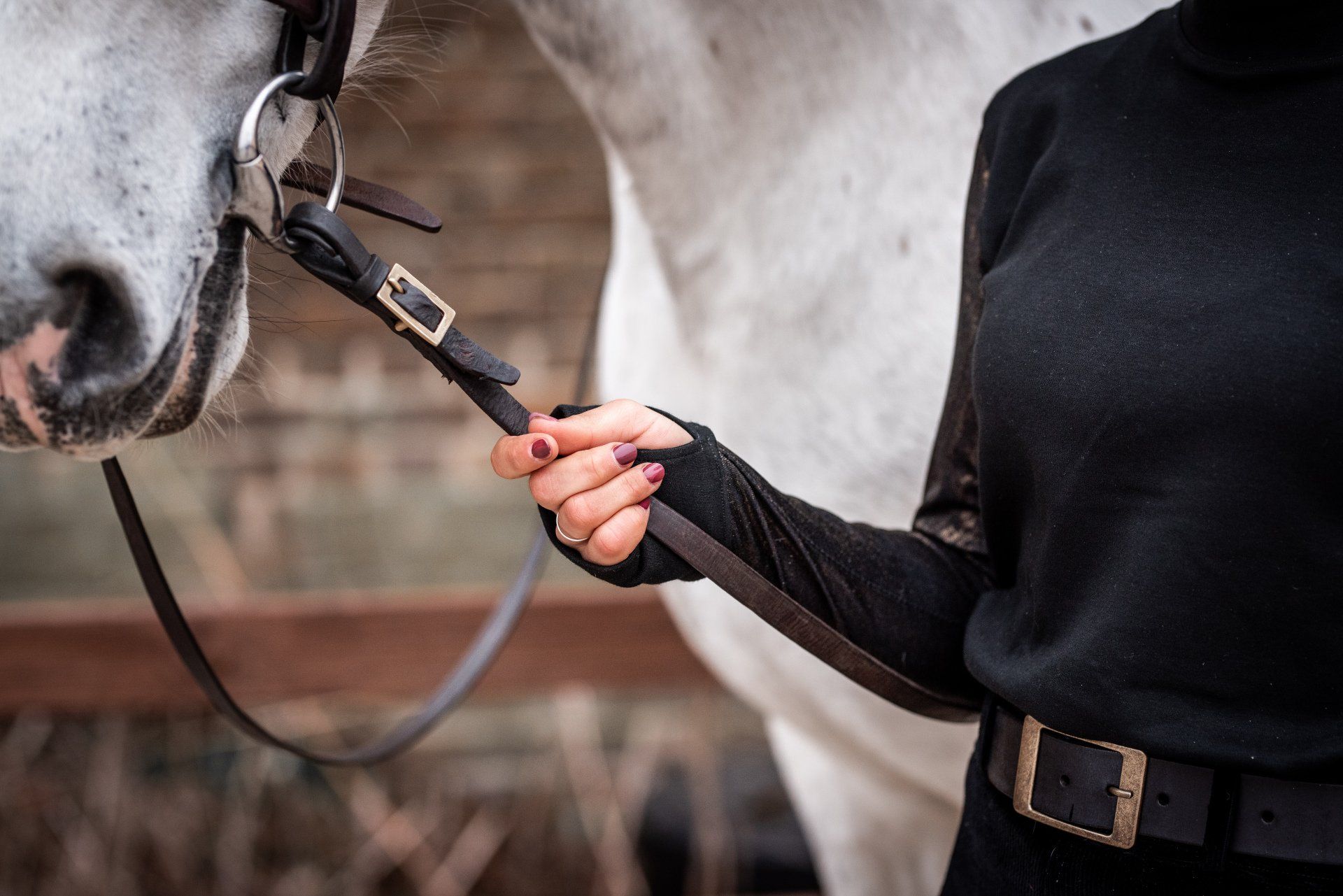 Reiterin die ihr Pferd am Zügel führt