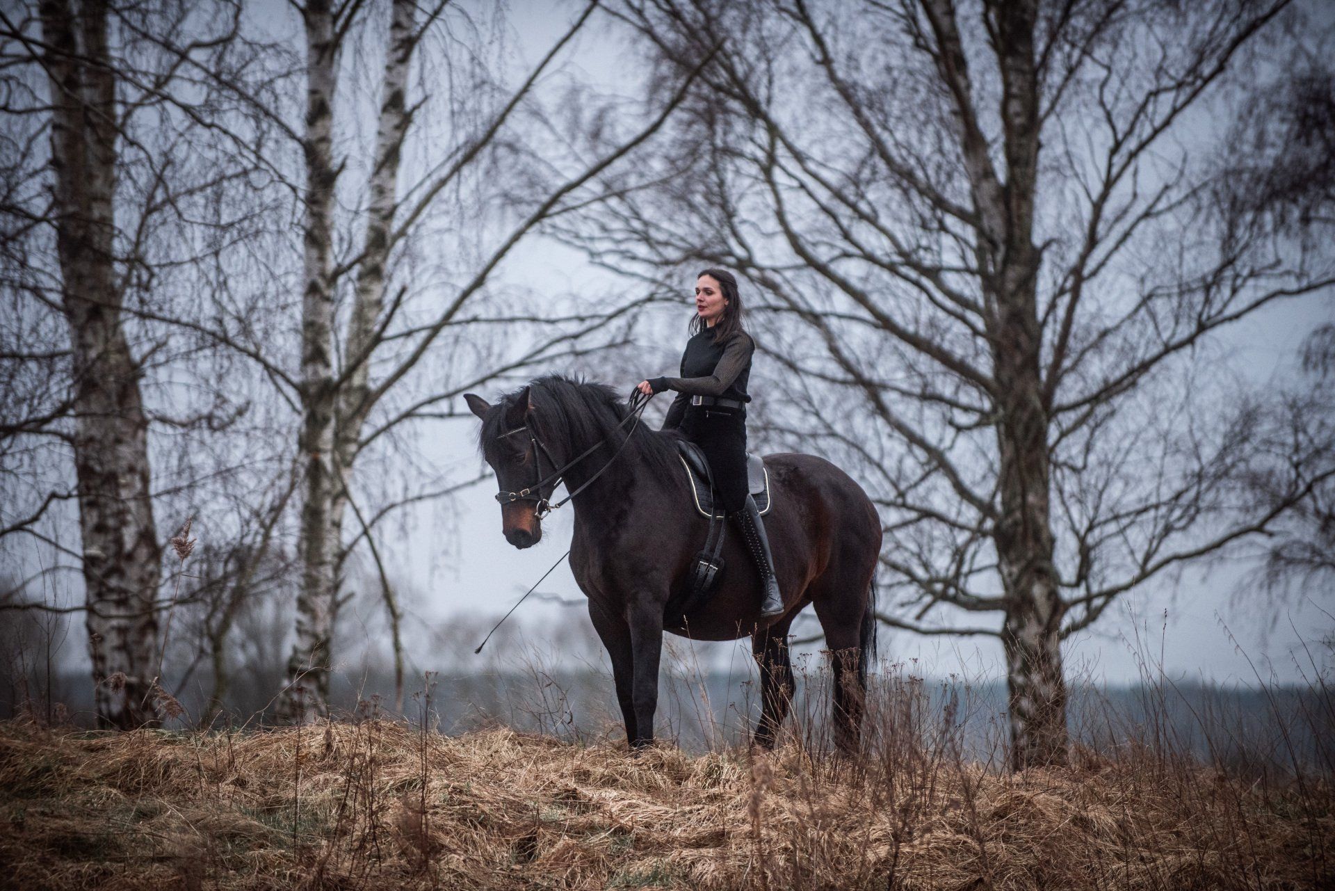 Klick Tipp führt zum Shop Junge Frau mit ihrem Pferd in Mystischer Landschaft in der Schulparade