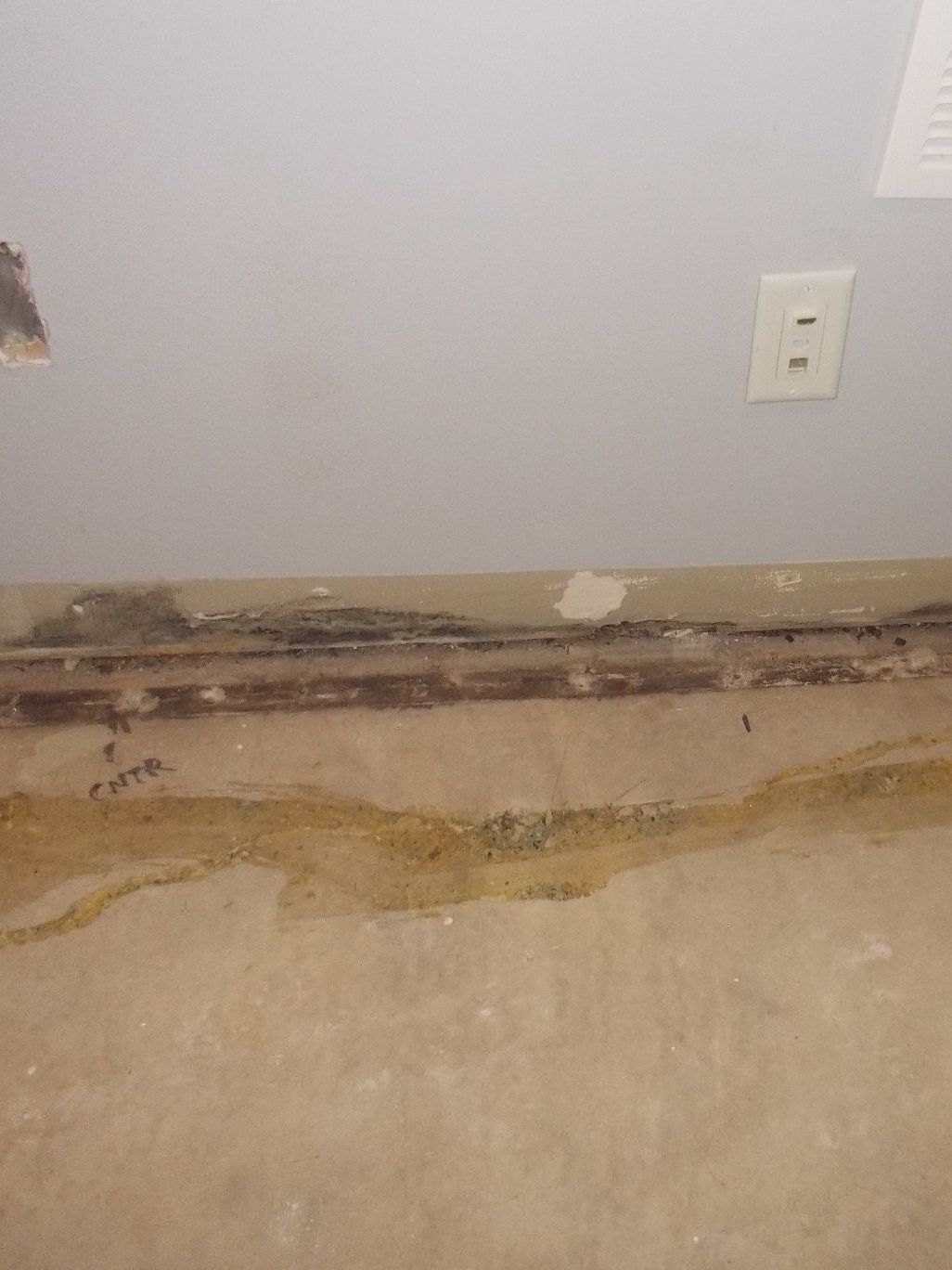 Edina Minnesota Wet Basement Mold and Mildew