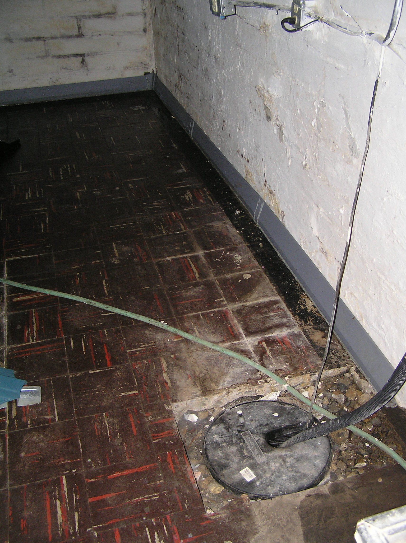 Beaver System is Leaking Basement Water