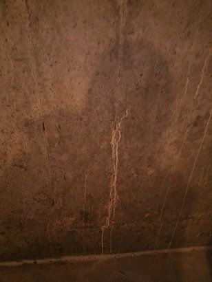 Wet Poured Basement Wall
