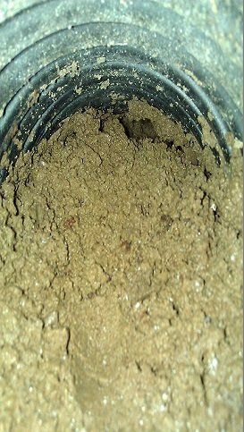Clogged Drain Tile System