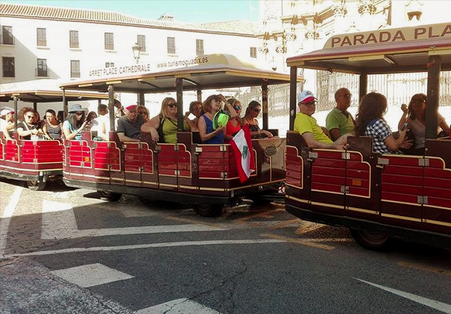 Visita en tren turístico a las Cuevas Visita en tren turístico a las Cuevas