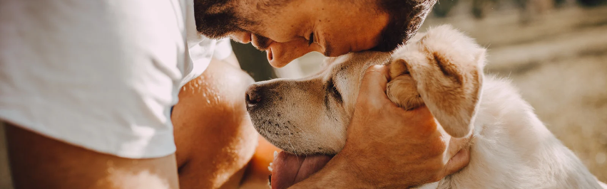 CrazyDogPaul Premium Fellpflege für Hunde – Natürlicher Schutz vor Zecken, Flöhen, Milben und anderen Parasiten