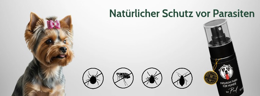 Diei beste Hudefellpflege carzydogpaul