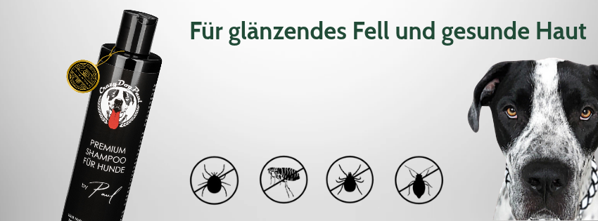 Komplettes Pflege-Set für die Hundefellpflege – jetzt Crazydogpaul bestellen