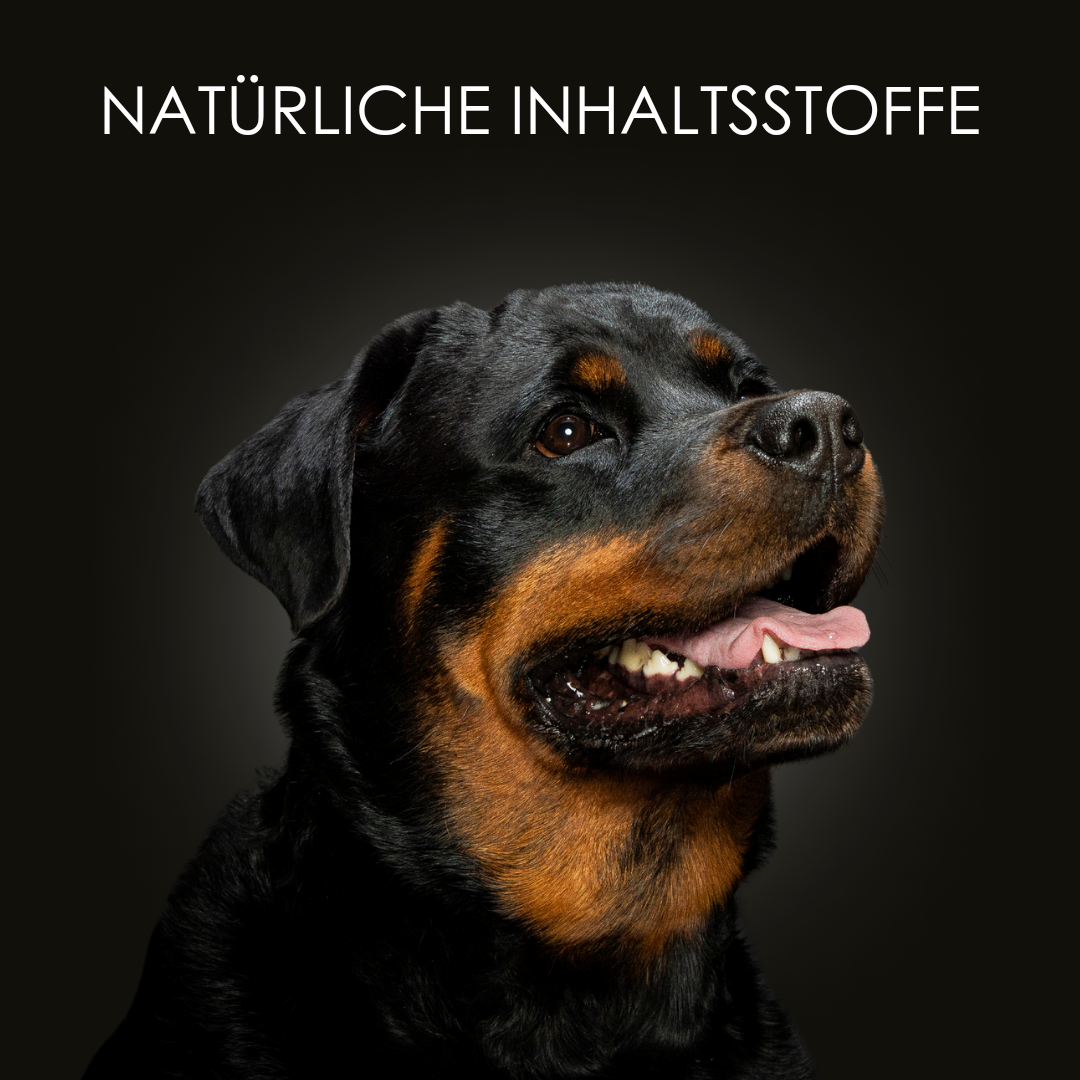Hypoallergenes Hundeshampoo von CrazyDogPaul, besonders mild für Hunde mit Allergien und empfindlicher Haut, sorgt für ein weiches und sauberes Fell.