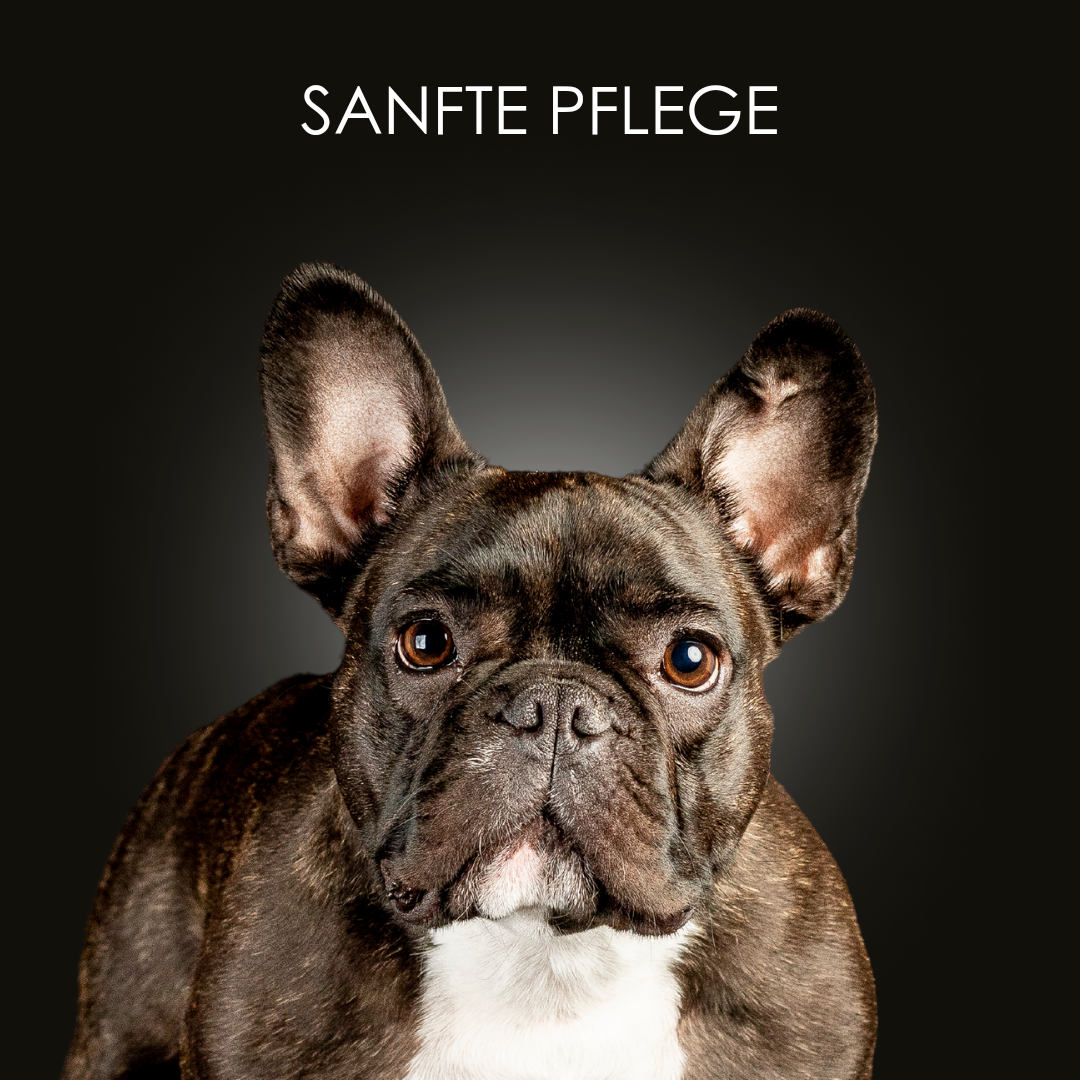 Hypoallergenes Hundeshampoo von CrazyDogPaul, besonders mild für Hunde mit Allergien und empfindlicher Haut, sorgt für ein weiches und sauberes Fell.