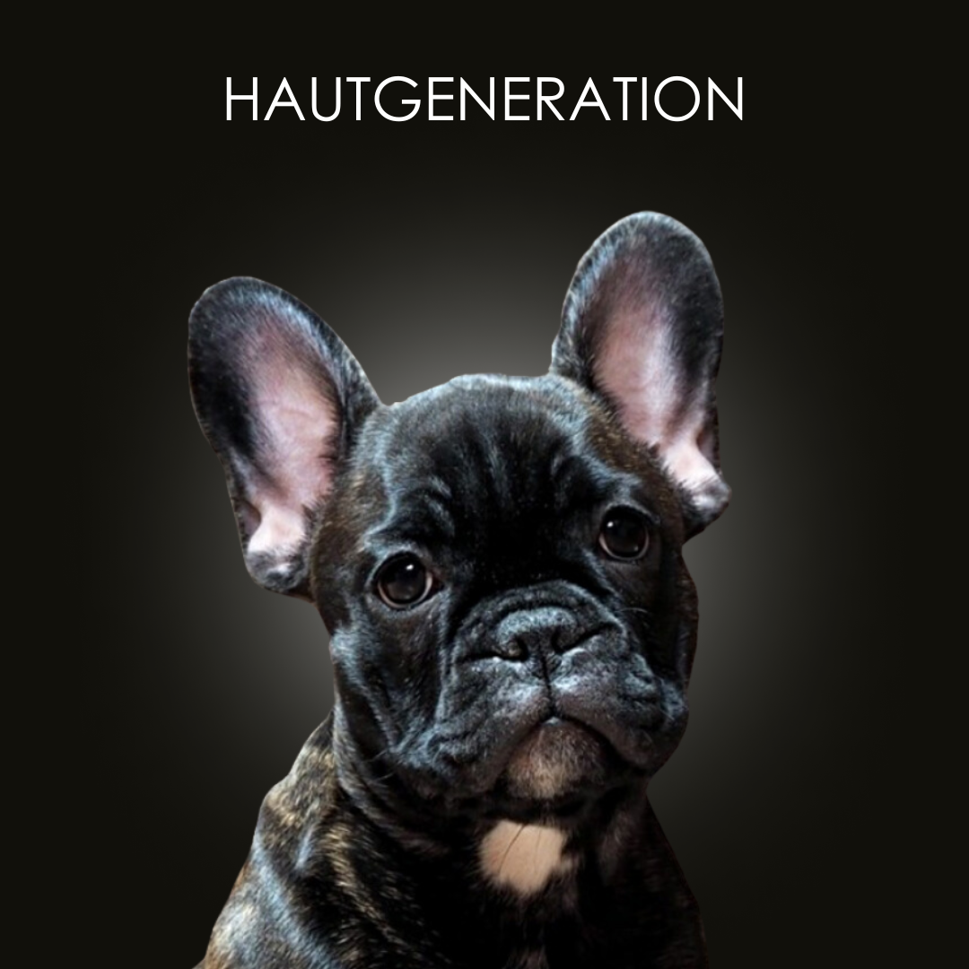 CrazyDogPaul Premium Sensitiv Hundeshampoo, ideal für sensible Hundehaut, sanfte Reinigung ohne künstliche Duftstoffe.