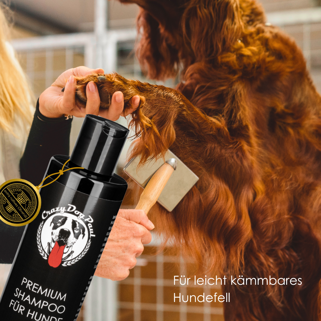 Pferdeshampoo mit Olivenöl – natürlicher Schutz vor Zecken und Insekten