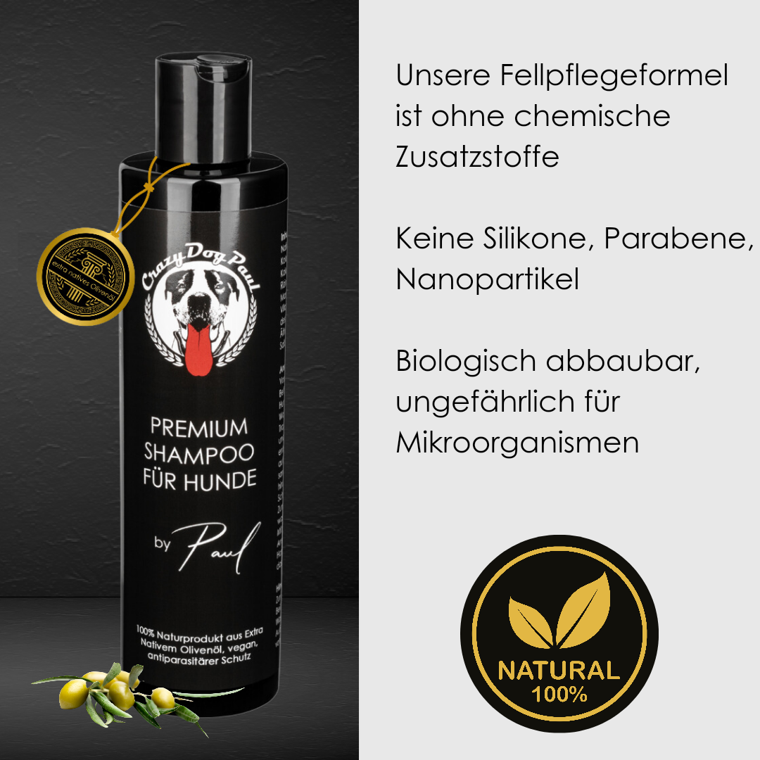 Hundeshampoo gegen Juckreiz und Schuppen – Crazydogpaul Pflegeprodukt für Hunde
