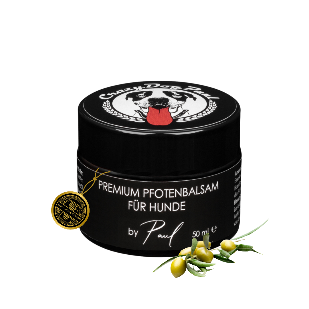 Pfotenbalsam von CrazyDogPaul – gegen rauhe und rissige Hundepfoten