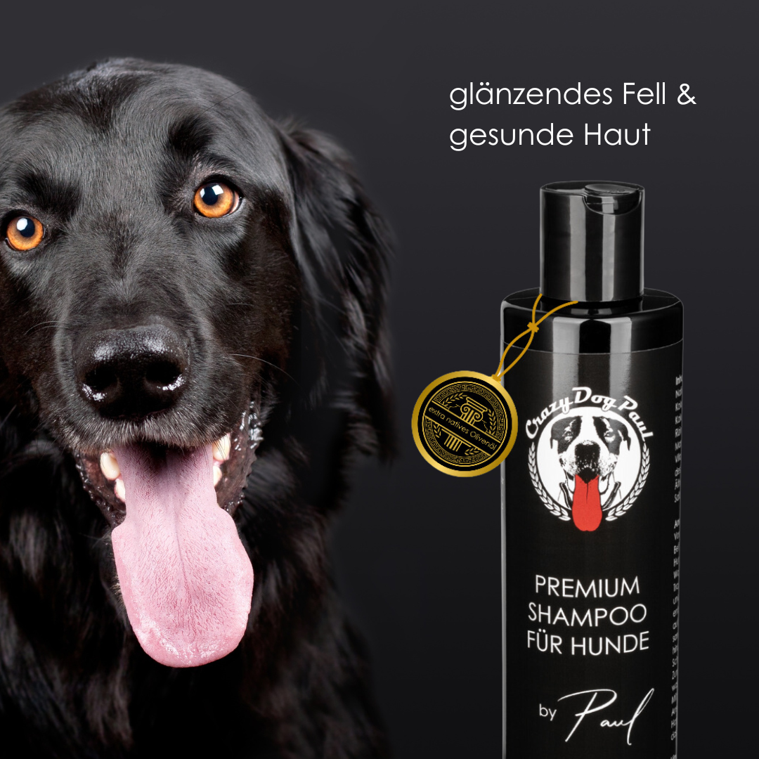 Crazydogpaul Hundeshampoo 250ml – sanfte Fellpflege für empfindliche Hundehaut kaufen