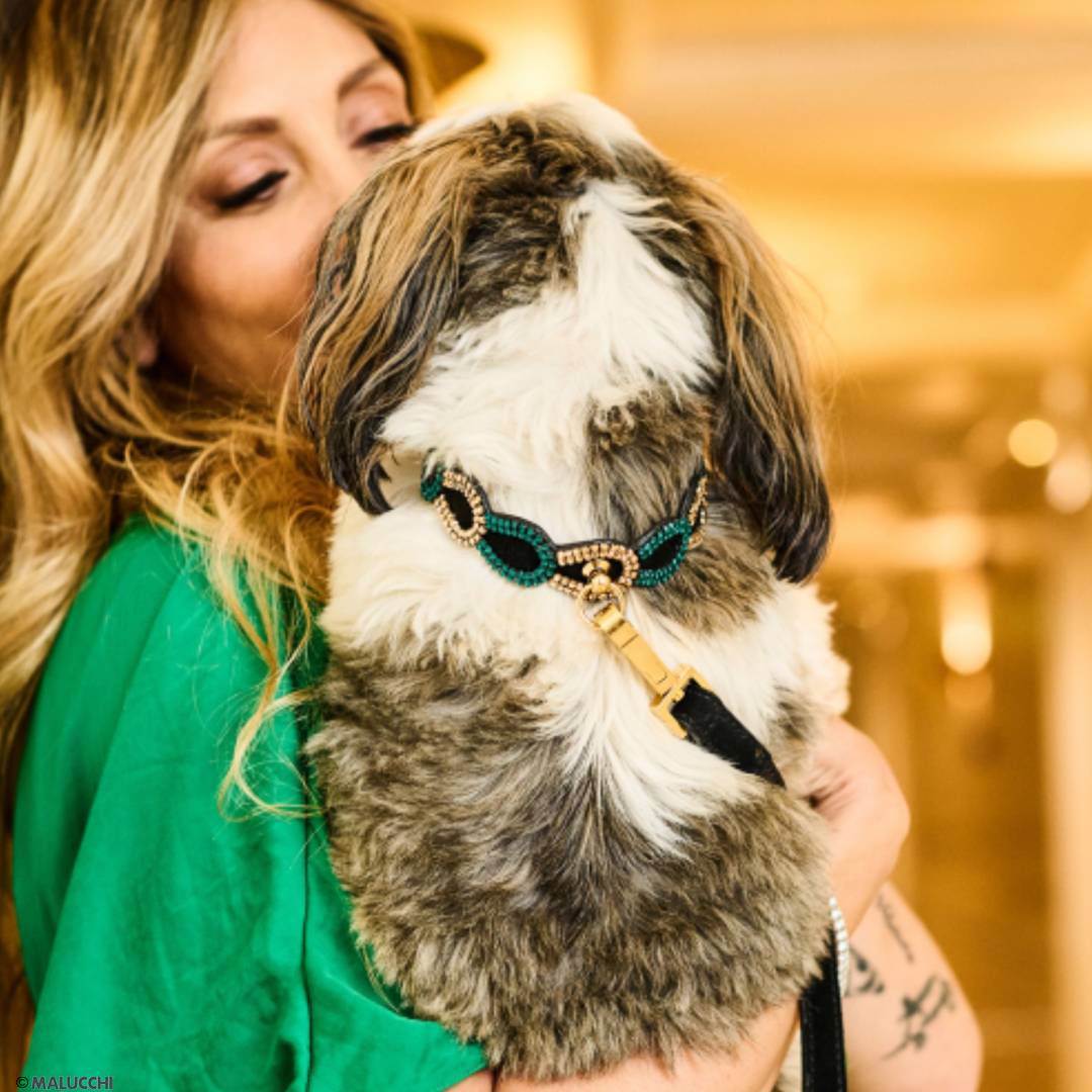 Malucchi Hundehalsband aus Veloursleder – komfortabel und langlebig