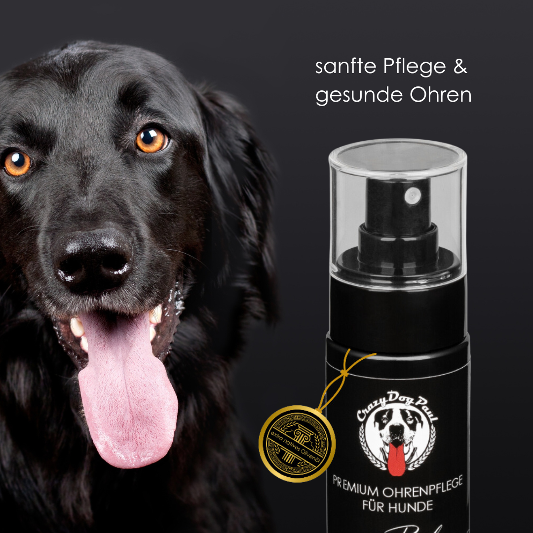 sanfte Hunde Ohrenpflege mit pflegenden Olivenöl, natürliche Inhaltsstoffe, vegan