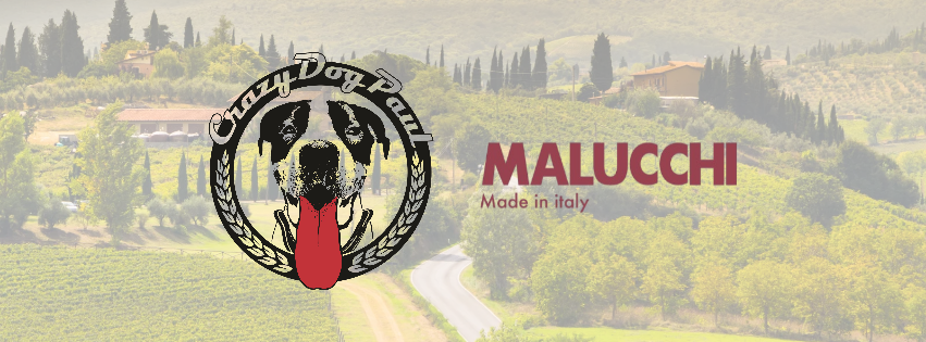 Crazydogpaul malucchi hundehalsband bright02